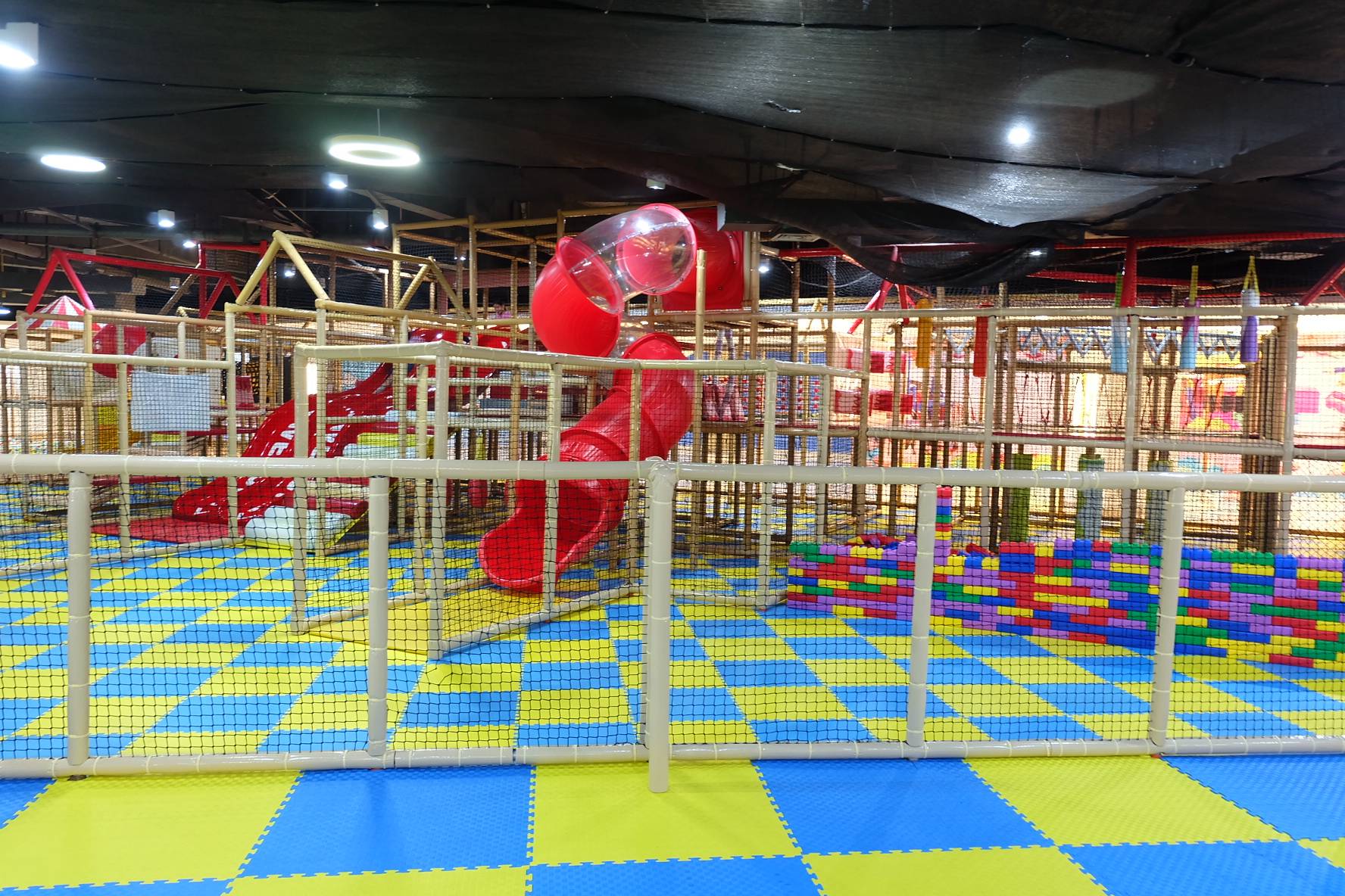 2023_1104_11423300 (1)